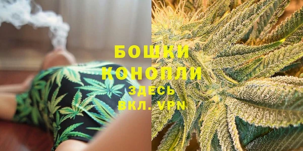 шишки Дмитриев
