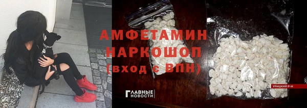 шишки Дмитриев