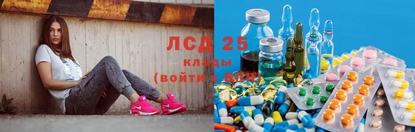 apvp Дмитров