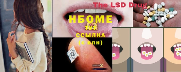 шишки Дмитриев