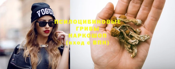 мдпв Дмитровск