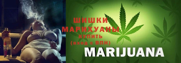 apvp Дмитров