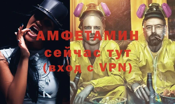 шишки Дмитриев