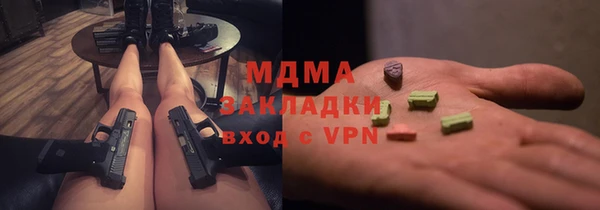 шишки Дмитриев