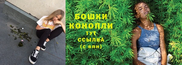 шишки Дмитриев