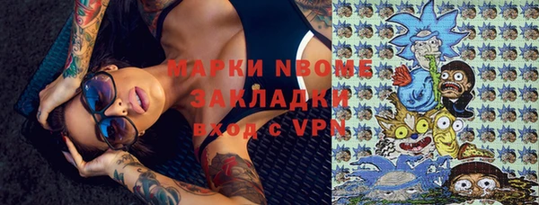 шишки Дмитриев
