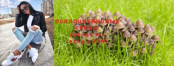 apvp Дмитров