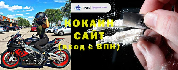 шишки Дмитриев