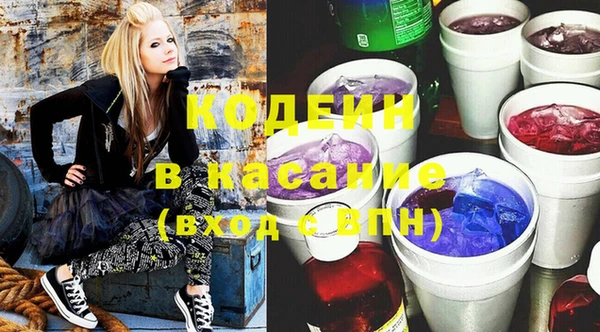 шишки Дмитриев