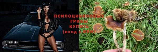 мдпв Дмитровск